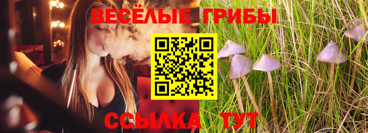 Сыктывкар  Галлюциногенные грибы мухоморы  Вход с VPN  Псилоцибиновые грибы мицелий 