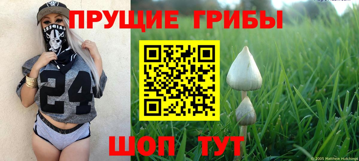 Галлюциногенные грибы мухоморы Сыктывкар